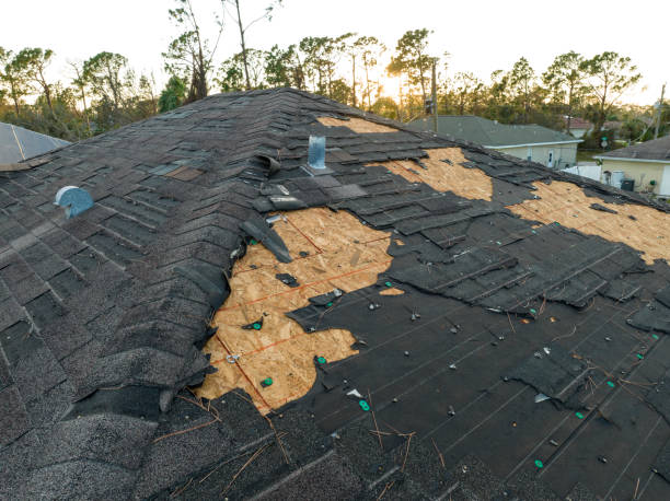 Best Storm Damage Roof Repair  in Monte Vista, CO